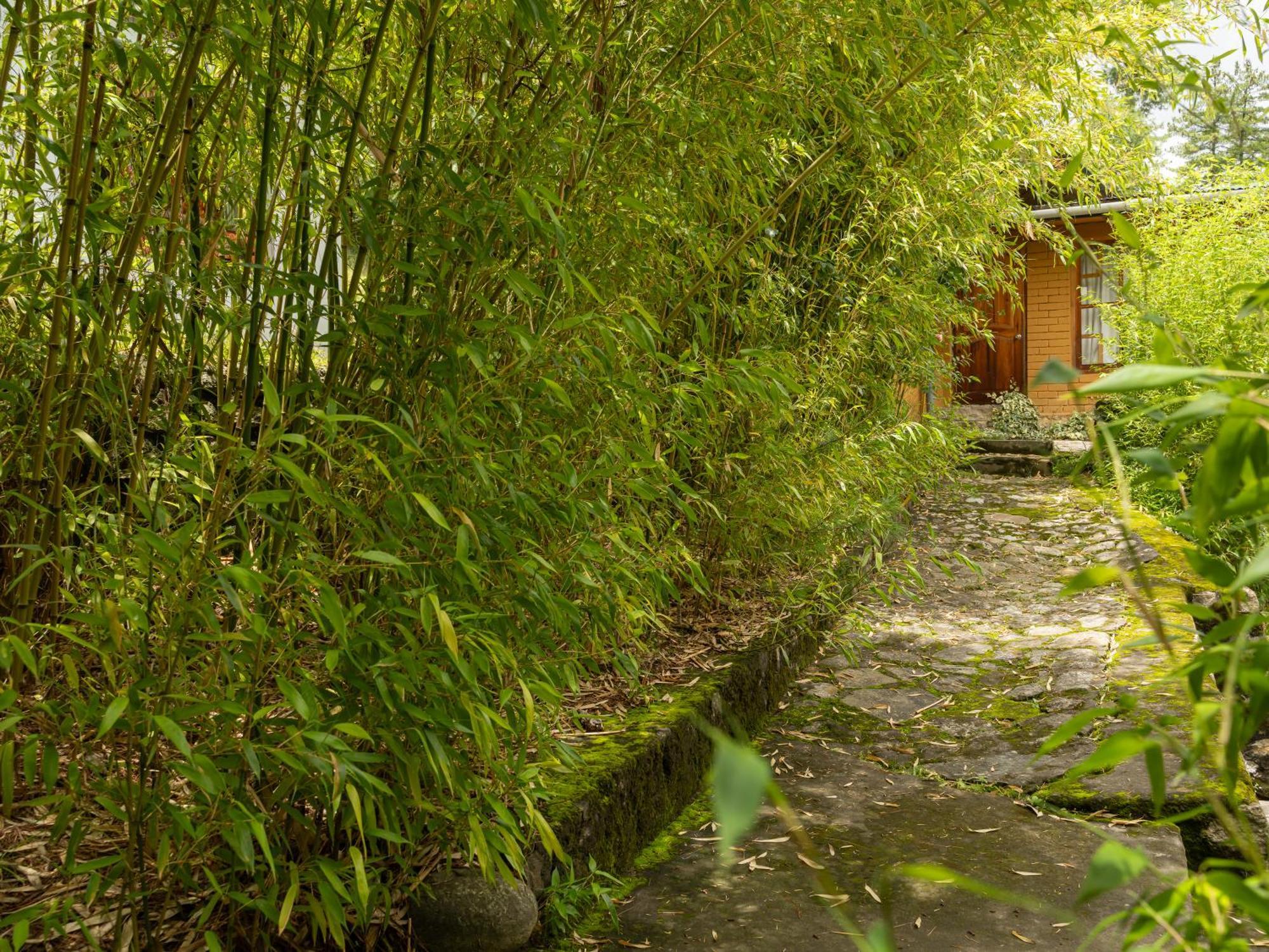 Tiger'S Nest Resort - Best Resort In Paro Dış mekan fotoğraf